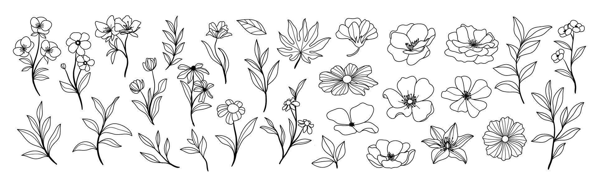 reeks van bloem hand- getrokken element vector. verzameling van gebladerte, tak, bloemen, bladeren, wilde bloem, rozen in lijn kunst. voorjaar bloesem illustratie ontwerp voor logo, bruiloft, uitnodiging, decor. vector