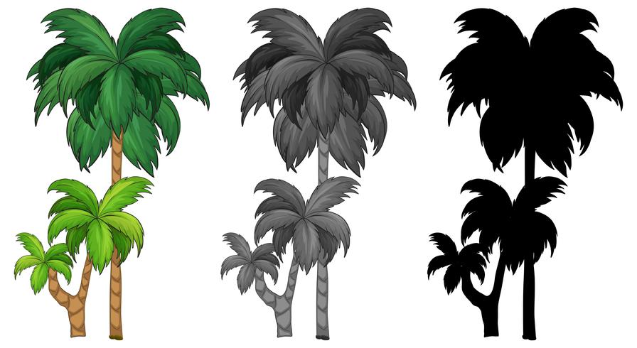 Set van palmboom vector
