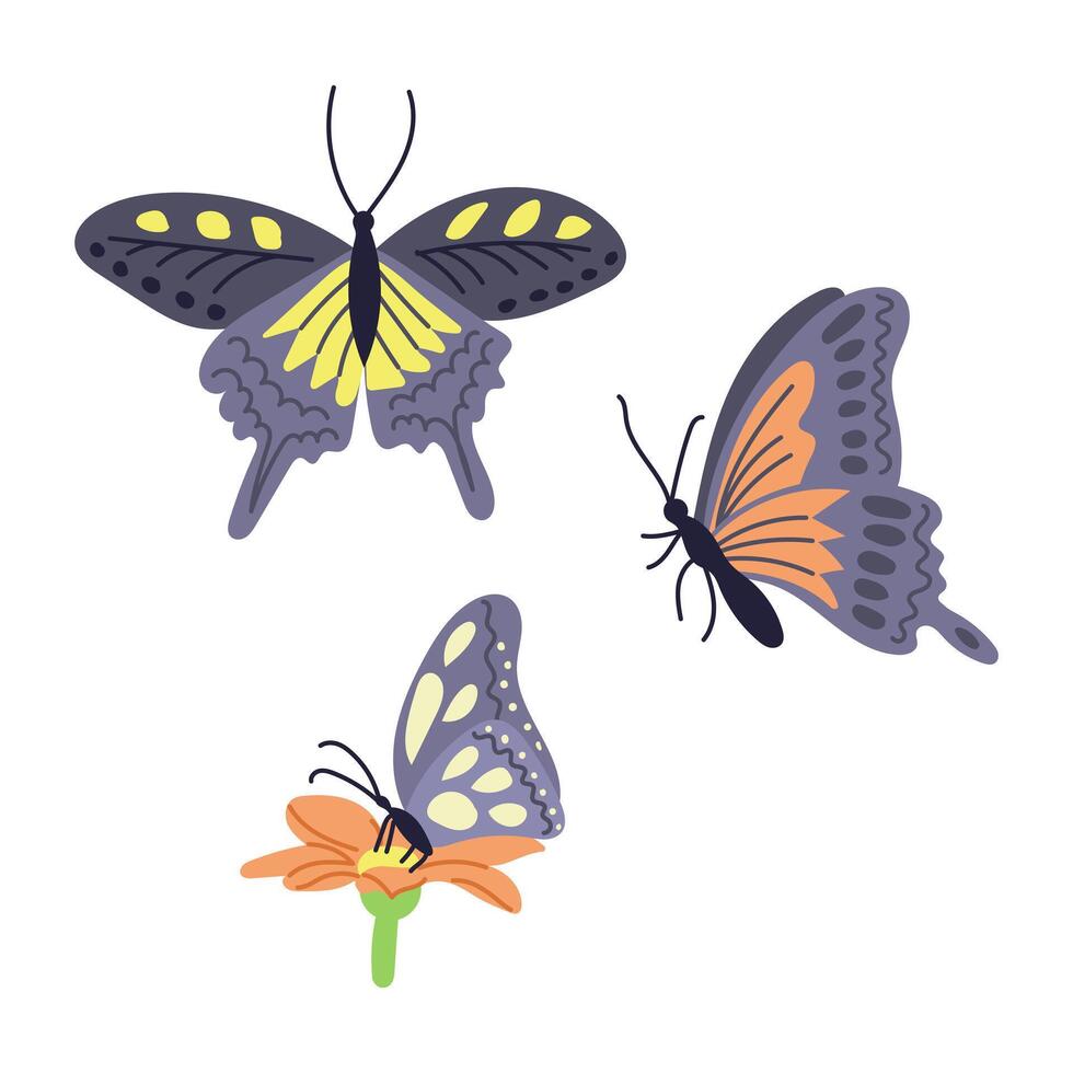 reeks van hand- getrokken kleurrijk vlinders en bloem. voorjaar concept. vaag hand- getrokken elementen Aan wit achtergrond. ideaal voor decoratie, stickers, hartelijk groeten, banier en achtergrond vector