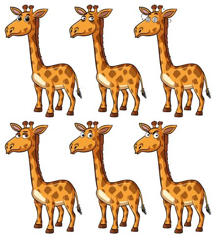 Giraf met verschillende emoties vector