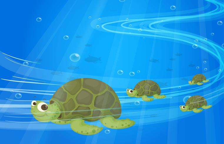 Schildpadden onder de zee vector