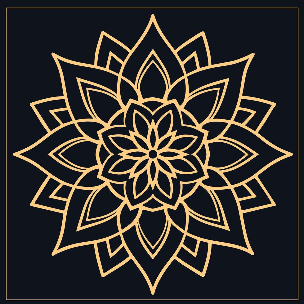 mandala. etnisch decoratief element. hand- getrokken achtergrond. Islam, Arabisch, Indisch, poef motieven. vector