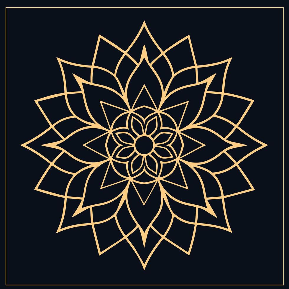 mandala. etnisch decoratief element. hand- getrokken achtergrond. Islam, Arabisch, Indisch, poef motieven. vector