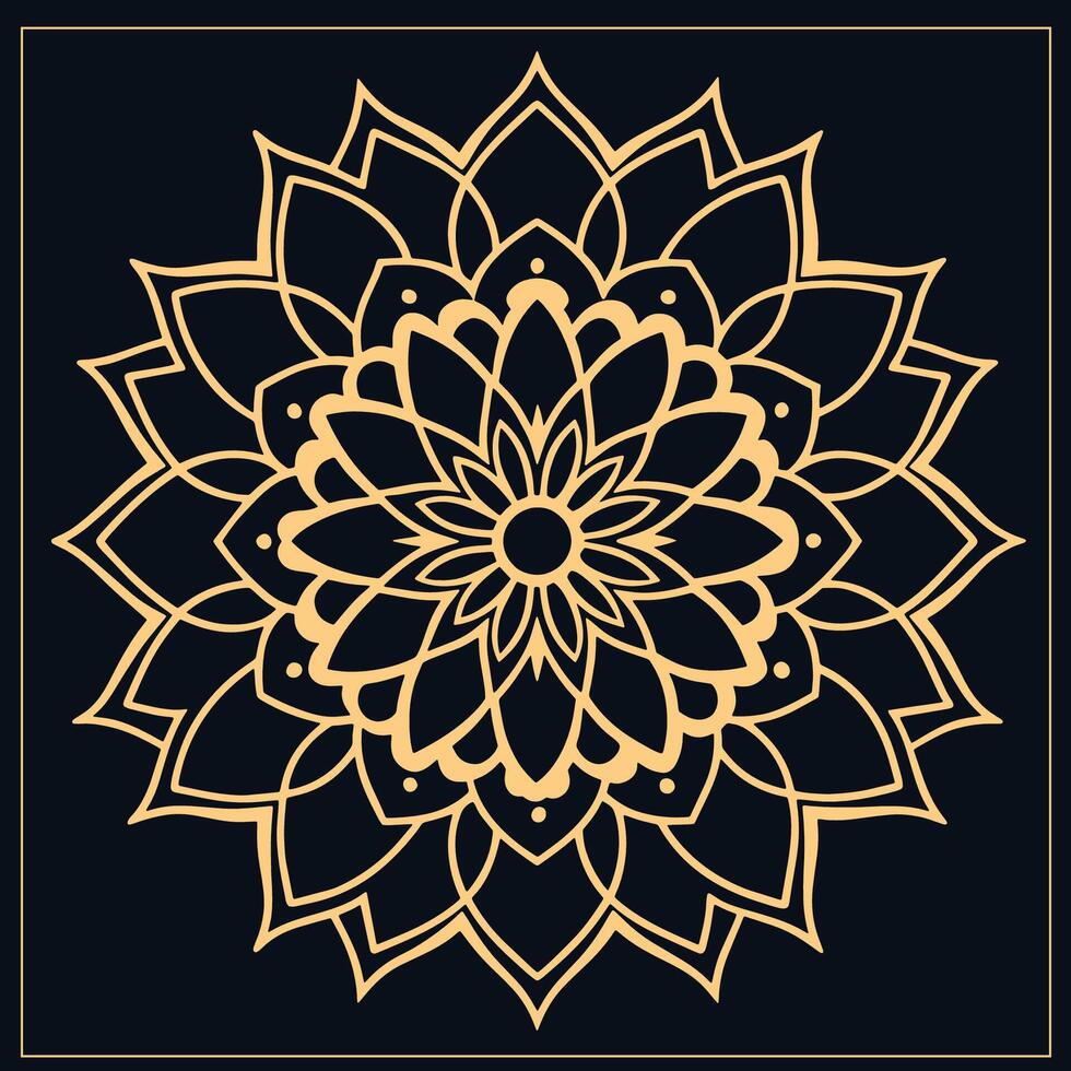 mandala. etnisch decoratief element. hand- getrokken achtergrond. Islam, Arabisch, Indisch, poef motieven. vector