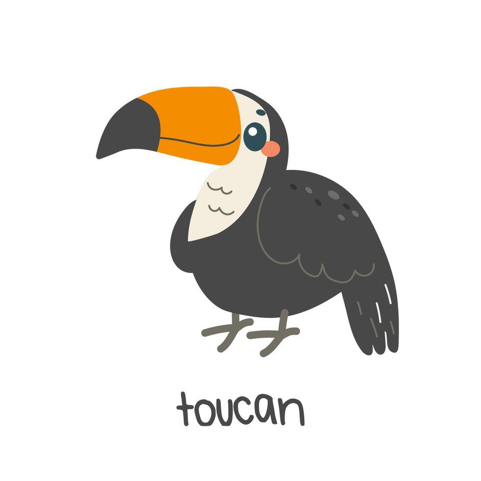 kinderen illustratie, schattig toekan, met inscriptie. exotisch vogel, vector illustratie voor onderwijs kinderen, t-shirt