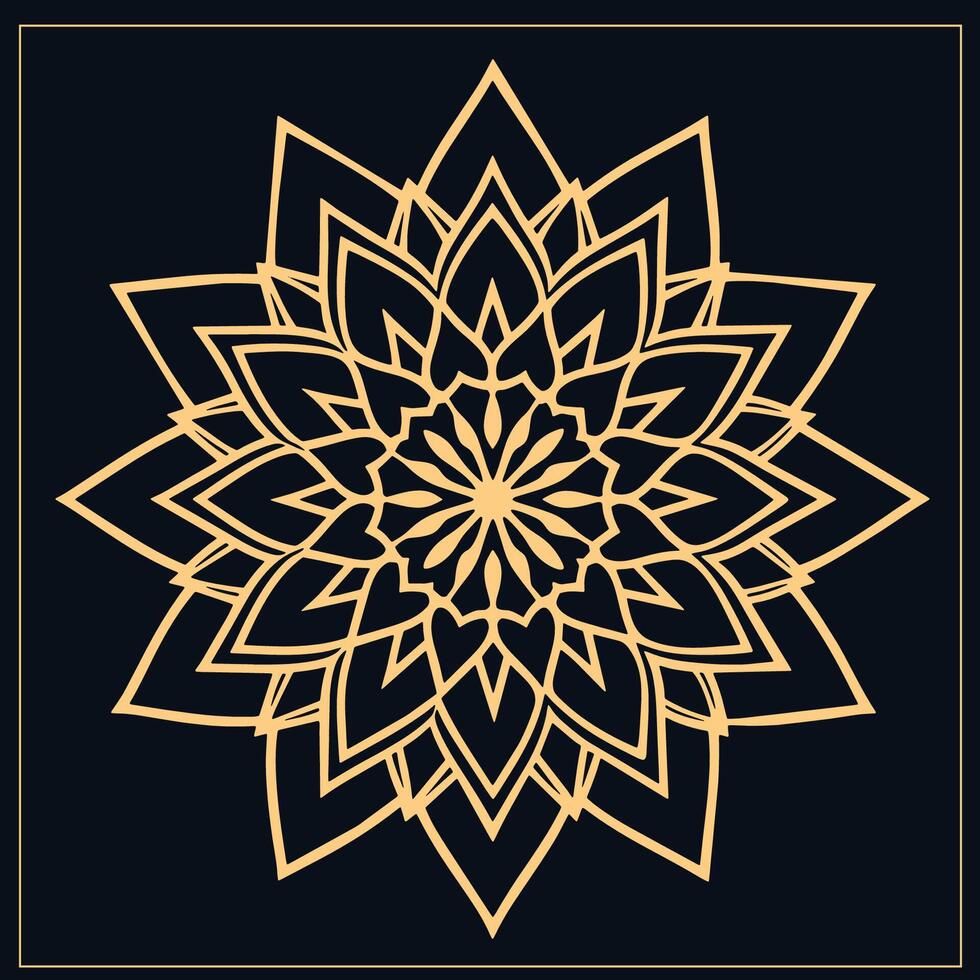 mandala. etnisch decoratief element. hand- getrokken achtergrond. Islam, Arabisch, Indisch, poef motieven. vector