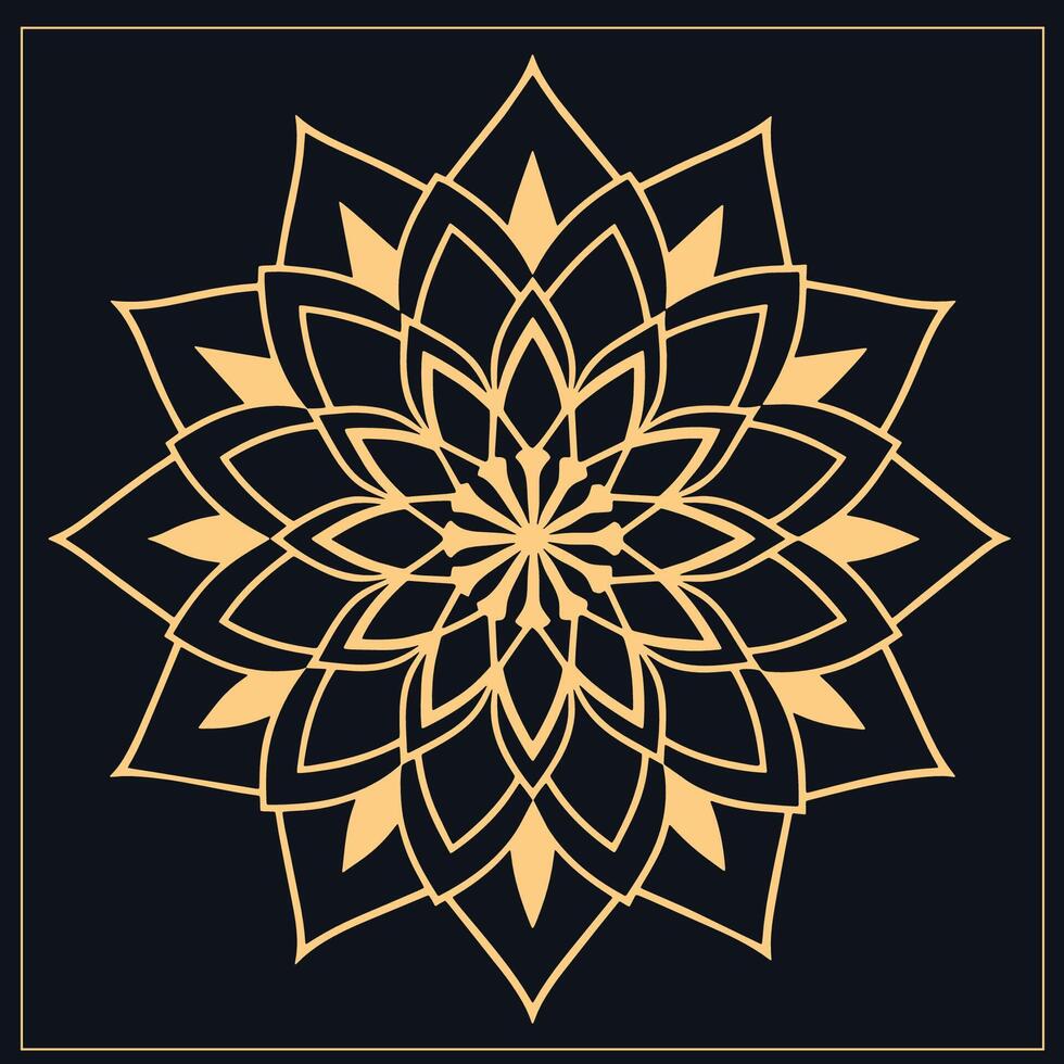 mandala. etnisch decoratief element. hand- getrokken achtergrond. Islam, Arabisch, Indisch, poef motieven. vector