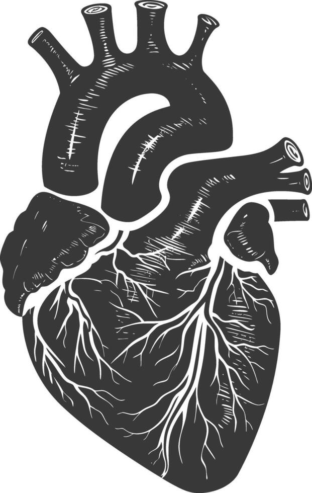 ai gegenereerd silhouet voor intern organen van hart zwart kleur enkel en alleen vector