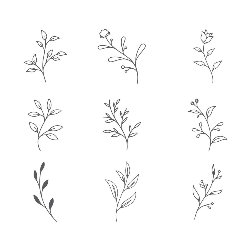 schoonheid bloemist vector pictogram ontwerp