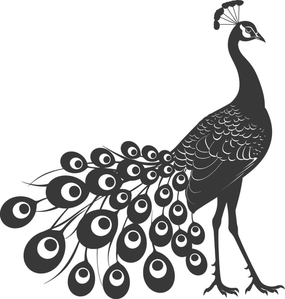 ai gegenereerd silhouet pauw vogelstand dier verhogen veer staart zwart kleur enkel en alleen vector