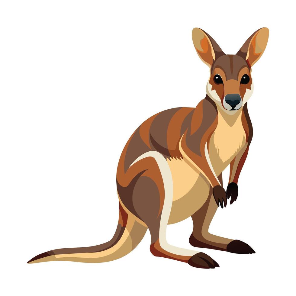 wallaby illustratie Aan wit achtergrond. vector