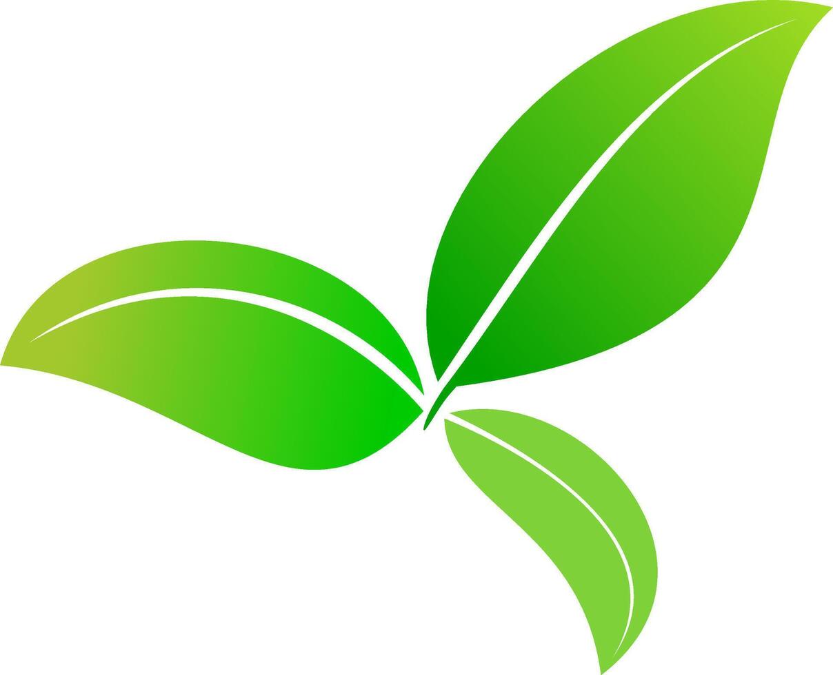 groen blad geïsoleerd Aan geïsoleerd wit achtergrond, klaar voor element of retoucheren ontwerp. vector