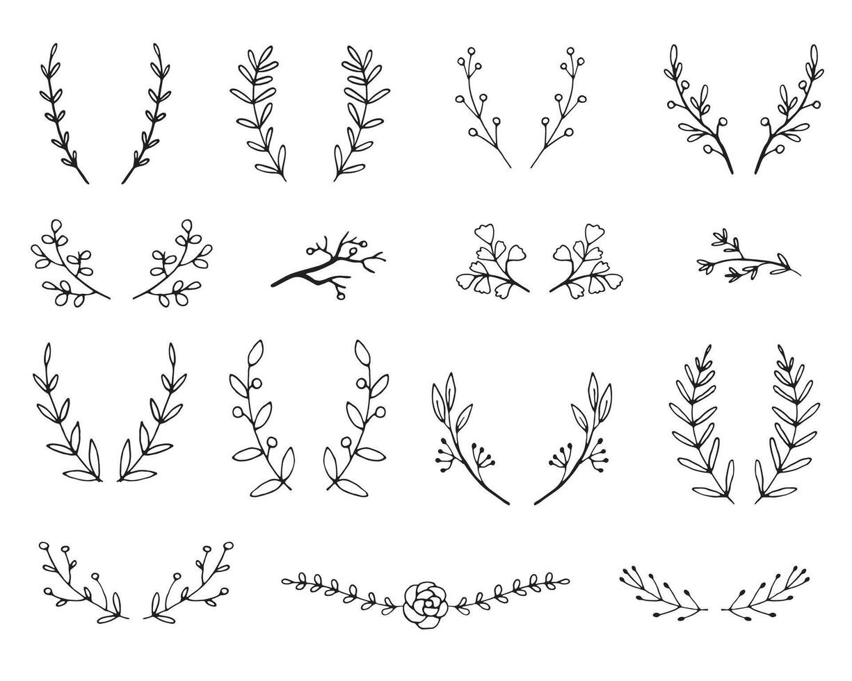 wijnoogst reeks van hand- getrokken boom takken met bladeren en bloemen Aan wit achtergrond vector