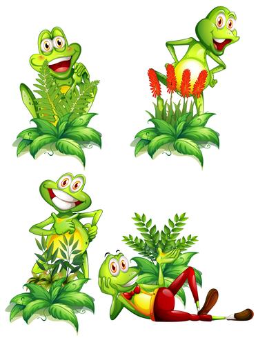 Vier kikkers en verschillende soorten planten vector