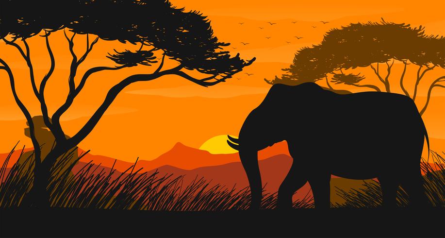 Silhouetscène met olifant op het gebied vector