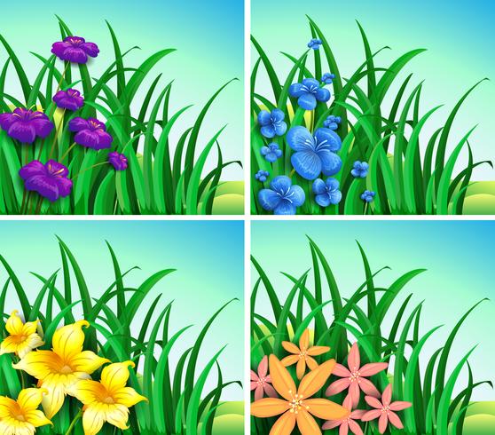 Vier scènes van bloemen en gras vector