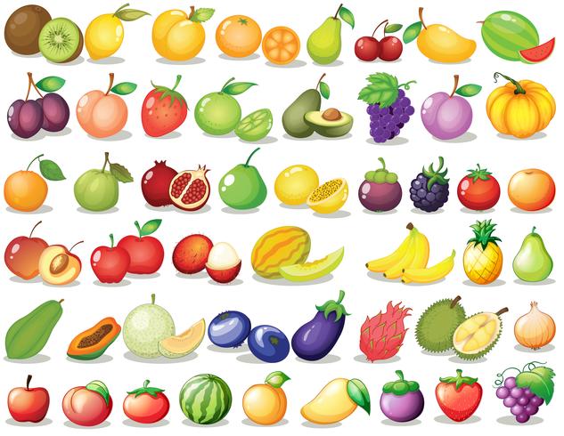 fruit set vector