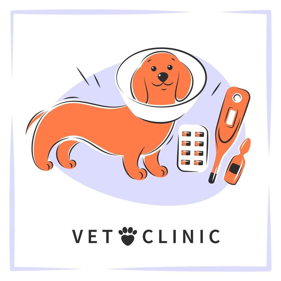 dierenarts kliniek of ziekenhuis voor dieren. honden behandeling. geneeskunde voor huisdieren. vector achtergrond