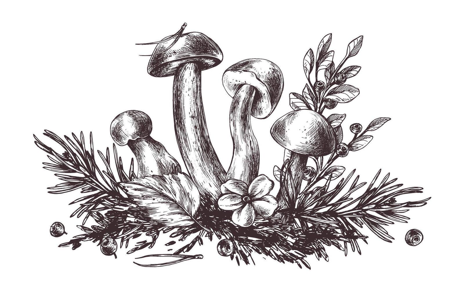 champignons Woud boletus met gras, bosbessen, mos en ijshoorntje. grafisch botanisch illustratie hand- getrokken in bruin inkt. voor recepten, verpakking, herfst festival, oogst. geïsoleerd samenstelling vector