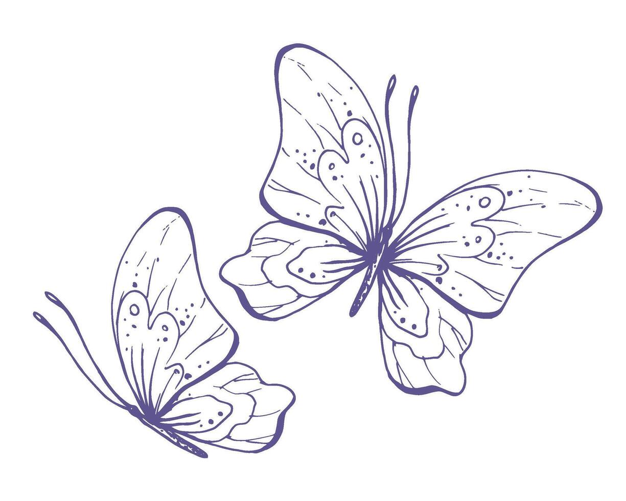 delicaat vlinders met patronen Aan de Vleugels, gemakkelijk, zoet, licht, romantisch. illustratie aanschouwelijk hand getekend in lila inkt in lijn stijl. reeks van geïsoleerd eps vector voorwerpen