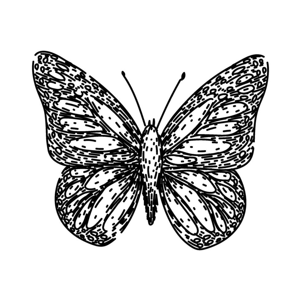 kleur vlinder schetsen hand- getrokken vector