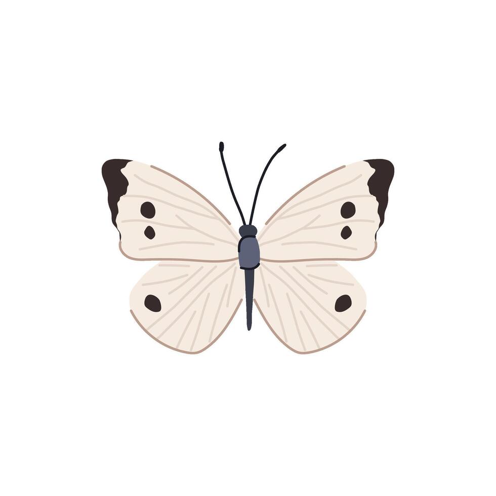 dier vlinder tekenfilm vector illustratie