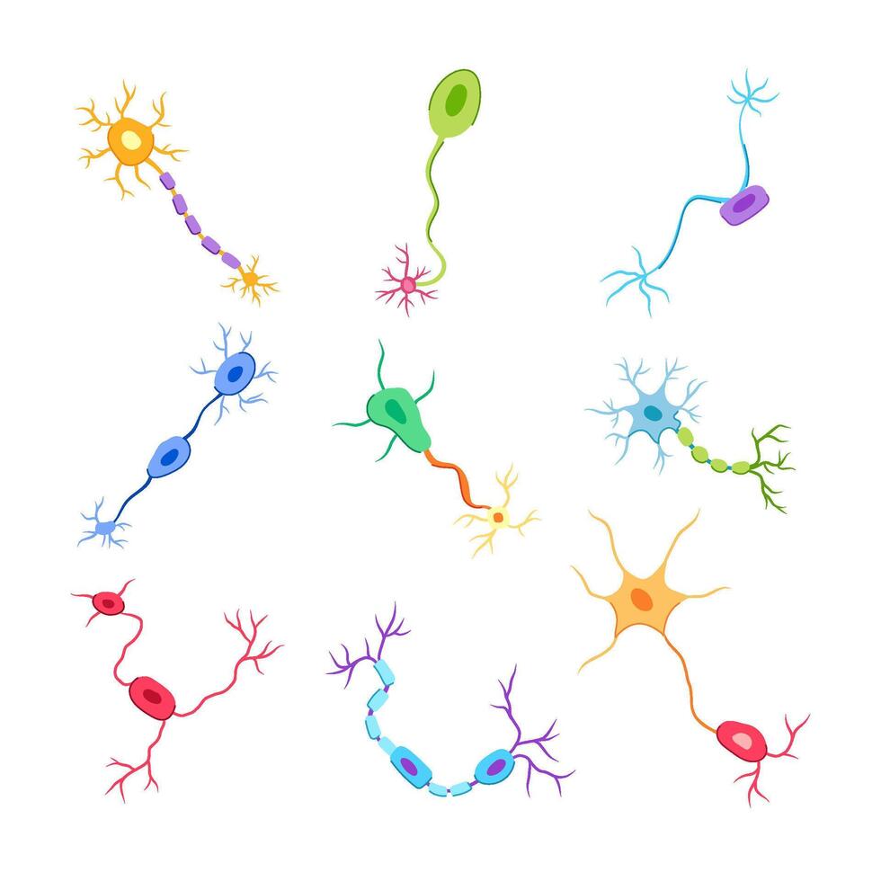 neuronen reeks tekenfilm vector illustratie