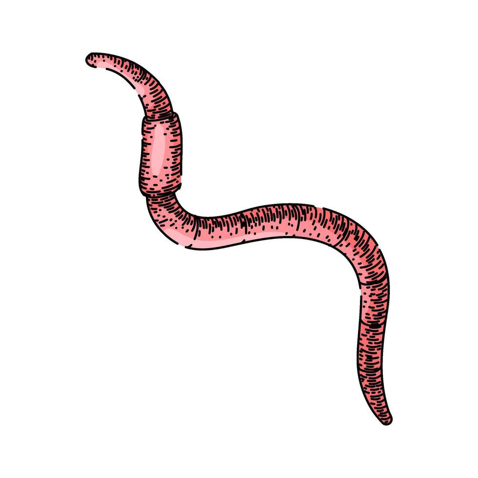 gemakkelijk worm schetsen hand- getrokken vector