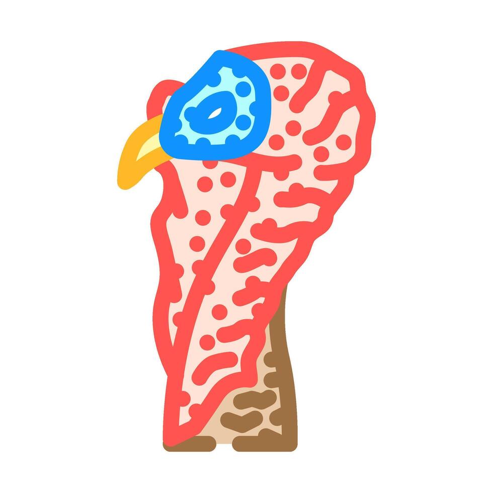 kalkoen dier kleur icoon vector illustratie