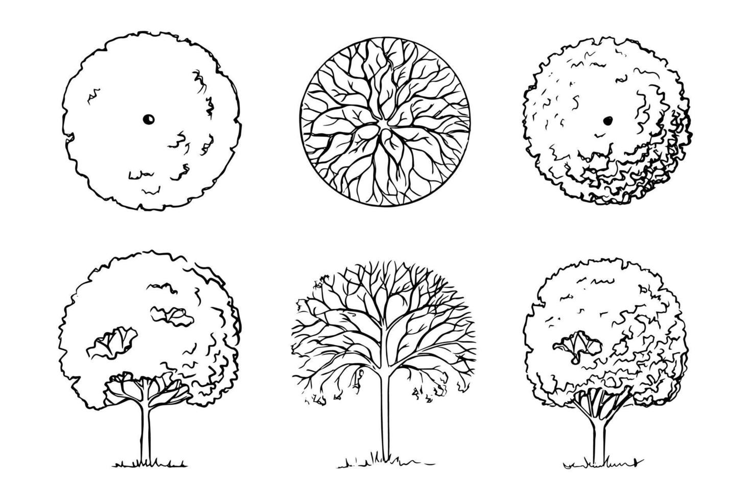 handgetekende schets van bomen. landschapsarchitectuur. drie bladverliezende tuin houtachtige planten vooraanzicht en bovenaanzicht. zwart-wit graphics.ile vector