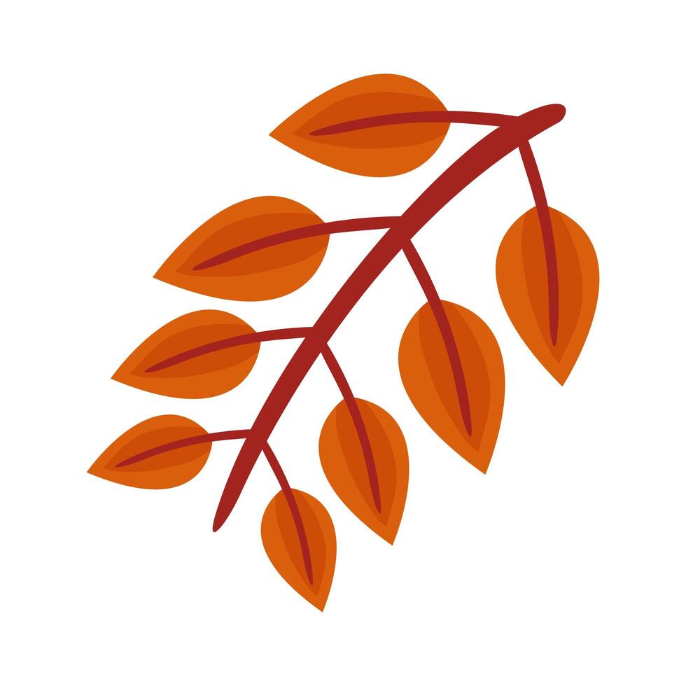 herfst geveerd blad plat stijlicoon vector