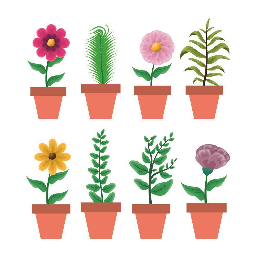 geïsoleerde kamerplanten in potten vector design