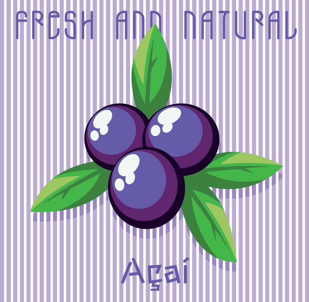 vector illustratie van acai fruit in grafisch stijl. kunst met samenstelling met tekst en gestreept achtergrond.