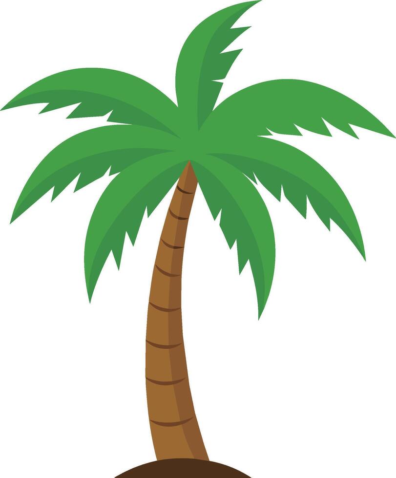 decoratief palm boom geïsoleerd vector illustratie