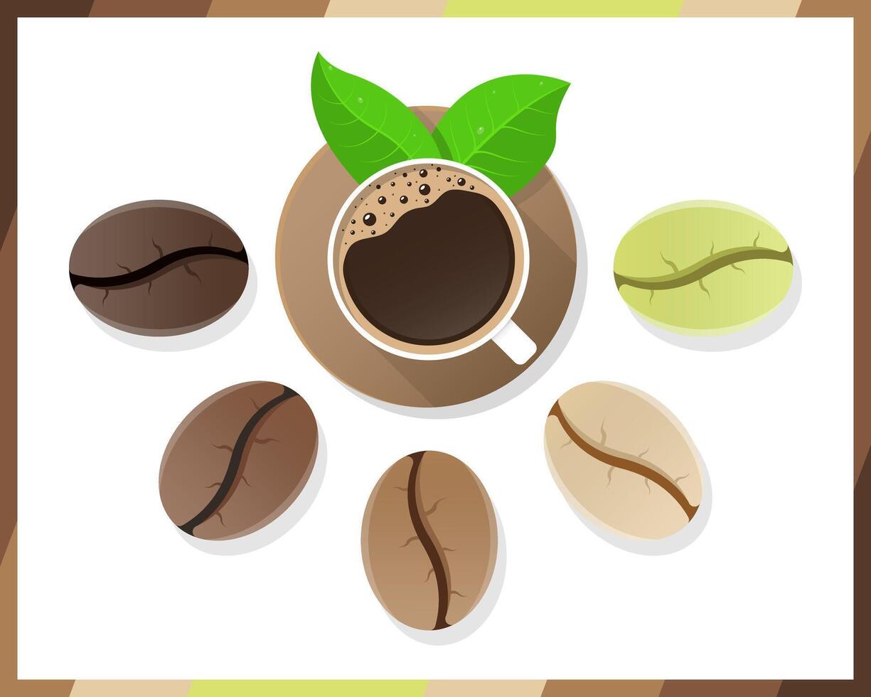 koffie bonen realistisch reeks tonen divers stadia van roosteren geïsoleerd Aan wit achtergrond vector