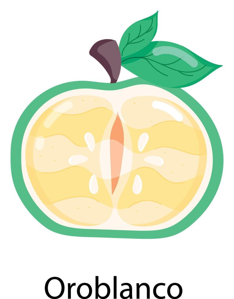 exotisch fruit vlak stickers vector