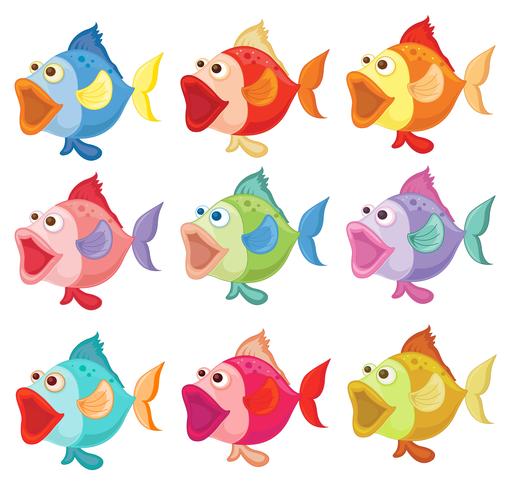 Kleurrijke vissen vector