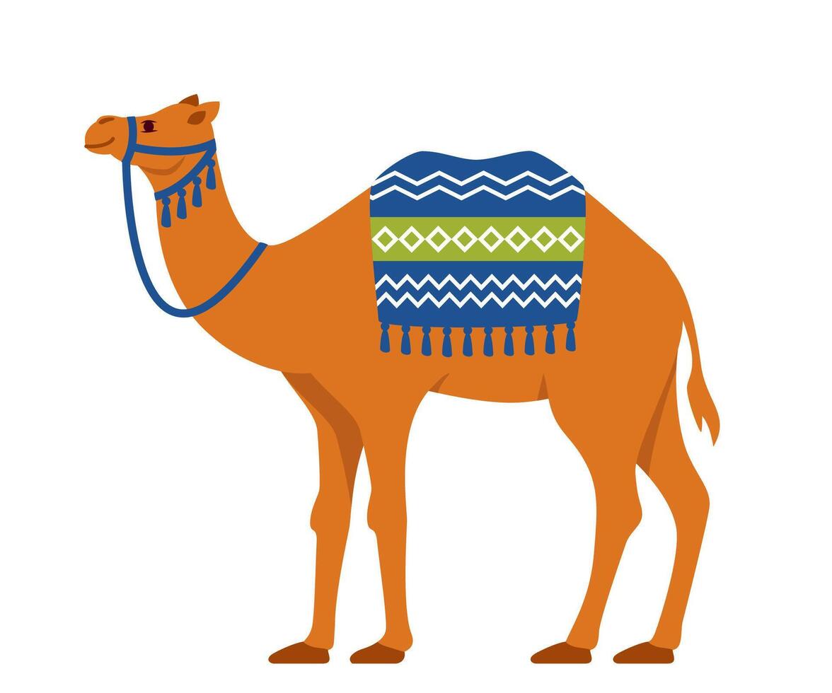 kameel. twee-humped woestijn dier met teugel en zadel. vector illustratie.