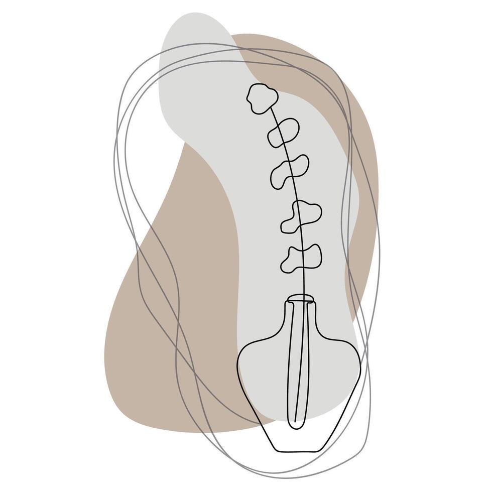 boho gestileerde hand- getrokken eucalyptus blad in een vaas. element voor logo, bedrijf kaart, boekje vector