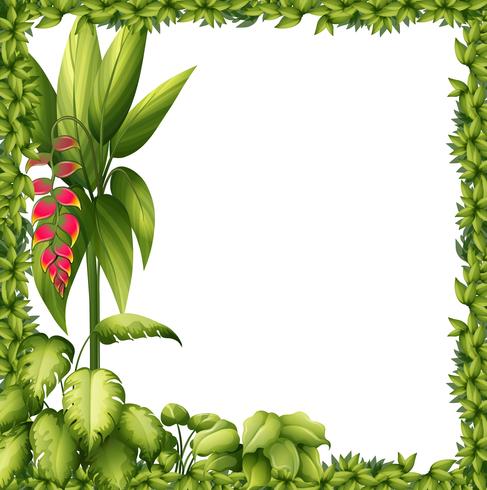 Een groen frame met een bloem vector