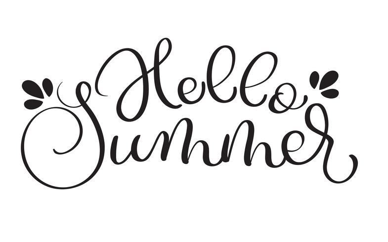 Hallo zomer tekst op witte achtergrond. Hand getrokken kalligrafie belettering vectorillustratie EPS10 vector