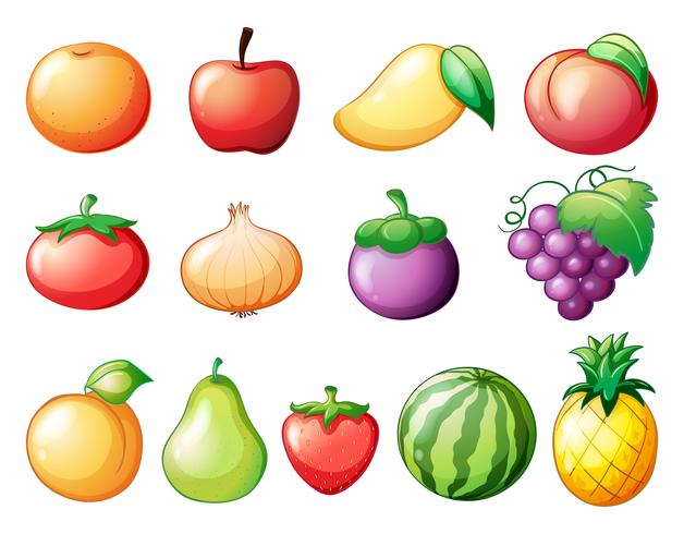 Verschillende soorten fruit vector
