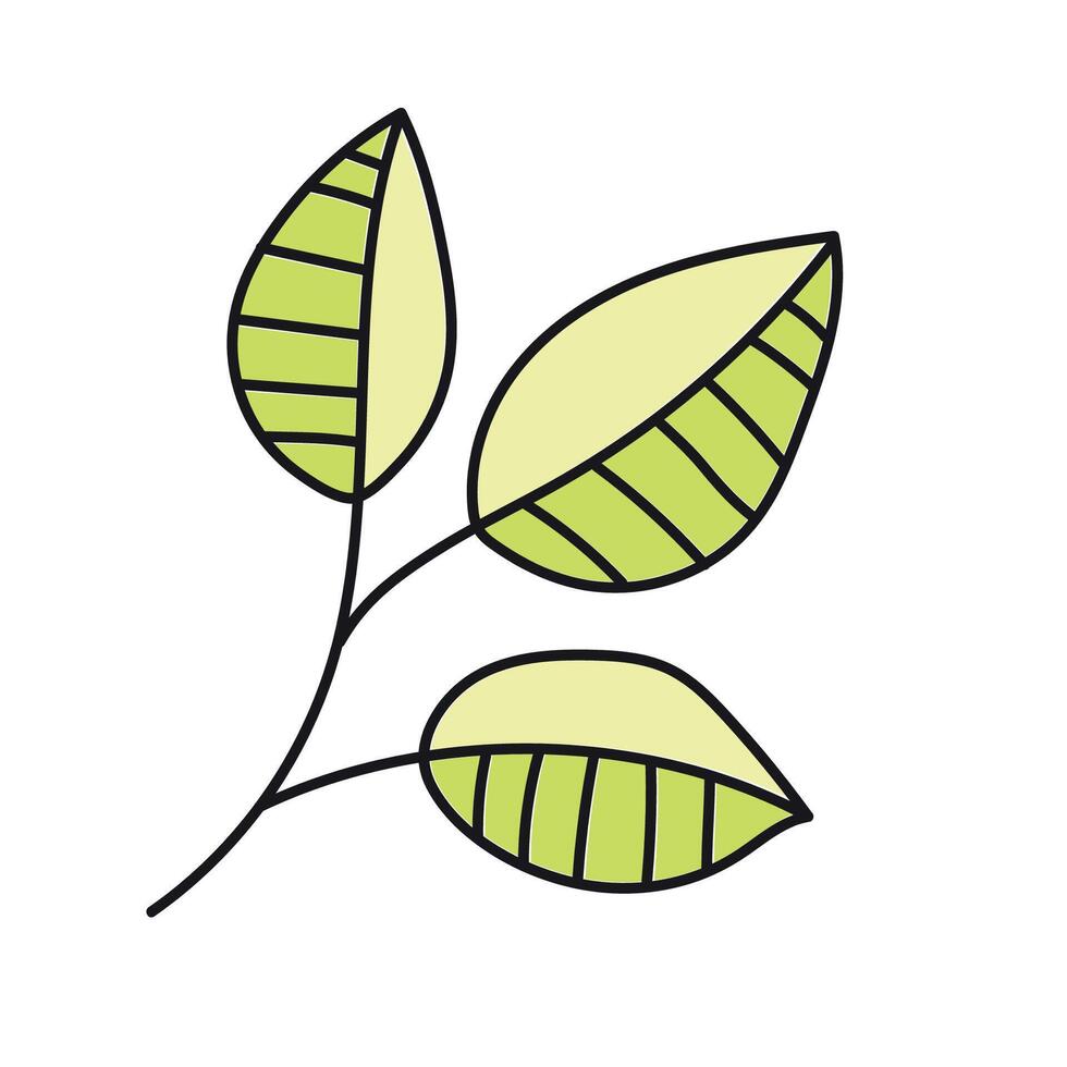 boom bladeren. vector illustratie in tekening stijl