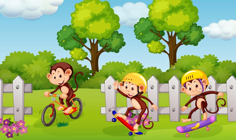 Een groep speelse aap vector