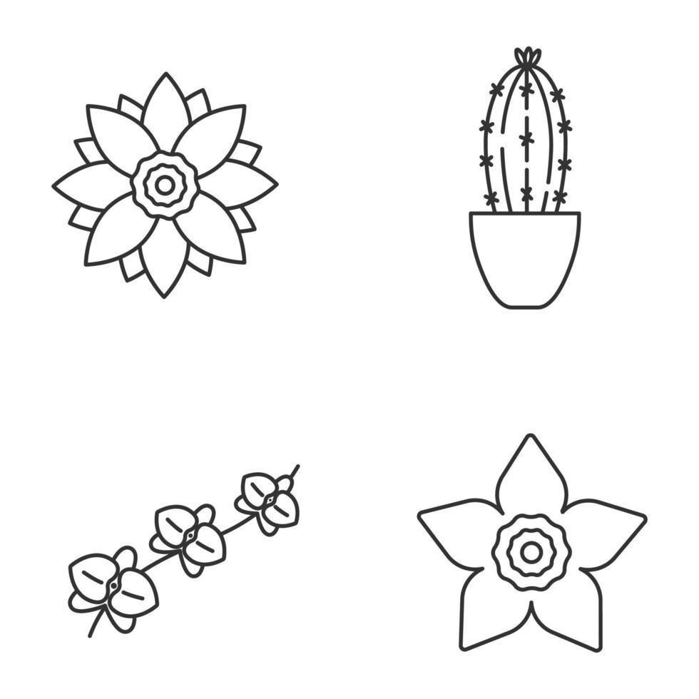bloemen lineaire pictogrammen instellen. lotus, narcis, orchidee, tak, cactus in bloempot. dunne lijn contour symbolen. geïsoleerde vectoroverzichtsillustraties vector