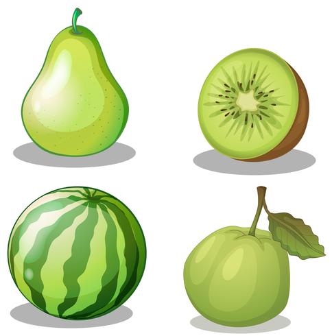 Vers fruit in groen vector