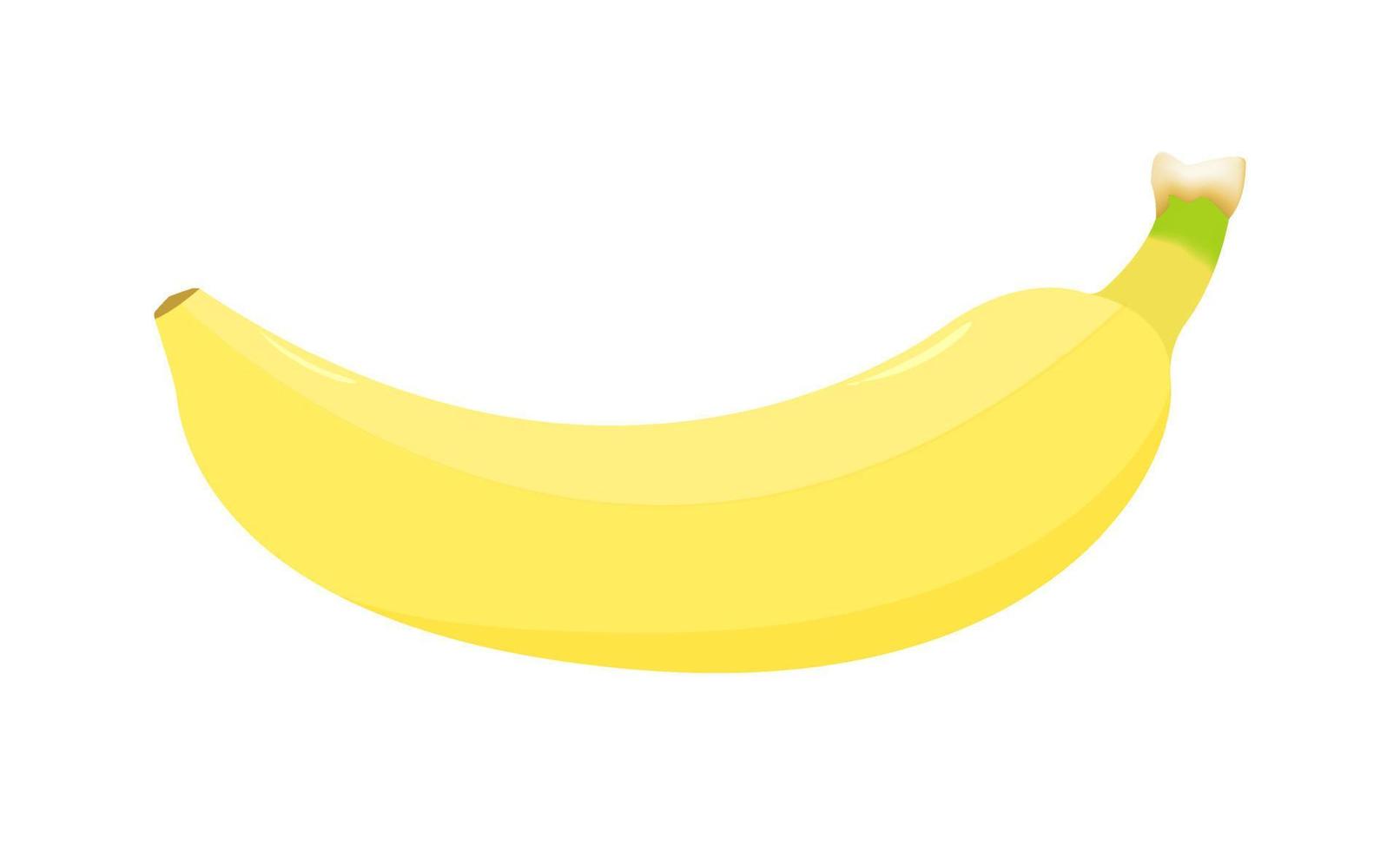 een banaan fruit op een witte achtergrond. het heeft een zoete smaak, voedingsstoffen en vitamines die energie leveren voor de gezondheid. vector