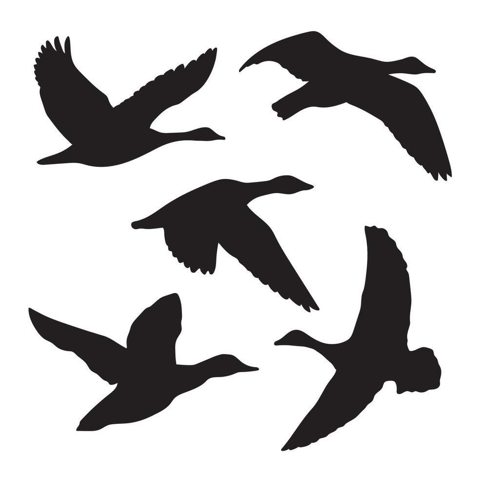 hand- getrokken dieren vogel silhouet reeks vector