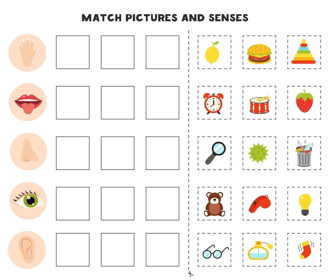bij elkaar passen van zin organen en voorwerpen. leerzaam werkblad voor kinderen. vector