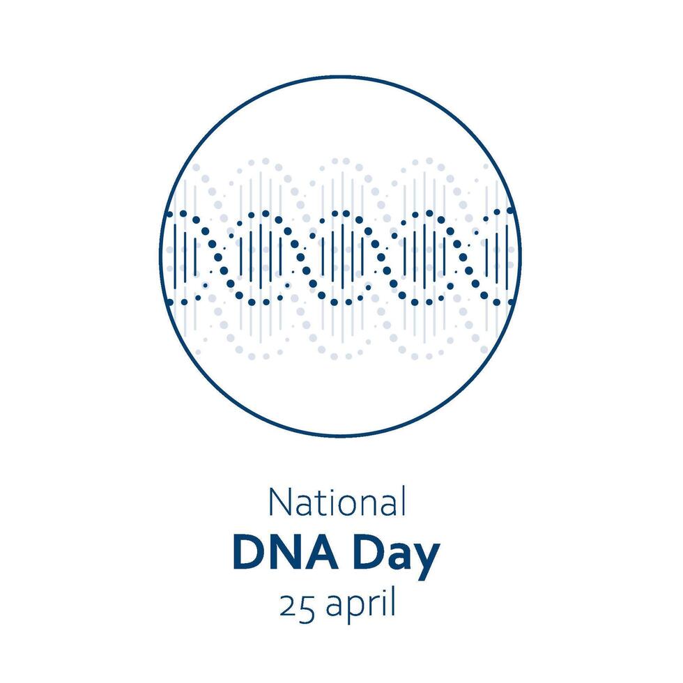 vector illustratie voor nationaal dna dag Aan april 25. dna, dubbele schroef molecuul in minimalistische ontwerp